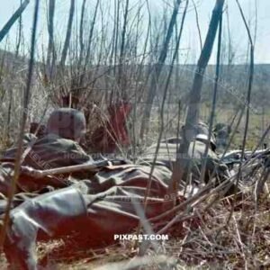 2 German Infantry soldiers with a MG 42 machine gun hiding in the long grass. Russian Front summer 1943