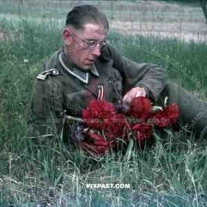 2nd Pattern Heer printed breast eagle, wehrmacht soldier, flower garden, Germany 1944. iron cross ribbon, russian front.