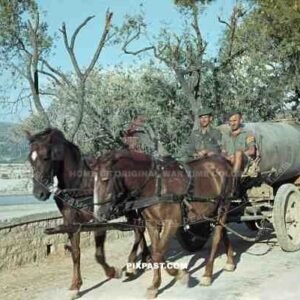 A German soldier with his Greek volunteer on top of their horse drawn water transport. Greece 1942