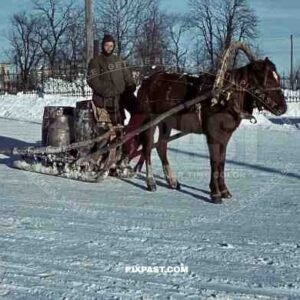 Asian Russian soldier working for Germans, Horse wagon, Kursk, Pervomaysky Park, Russia 1942, 3rd Panzer Division,