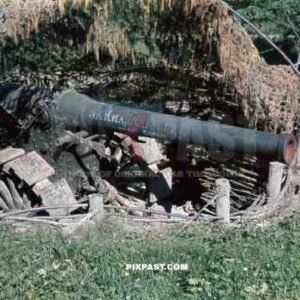 Captured French WW1 155mm de Bange Howitzer with Bonagente shoes. Camouflage Bunker France 1940