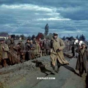 Captured Russian POW soldiers marched to camp, Ustiluh, Ukraine, Summer 1941, 94th Infantry Division,