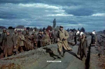 Captured Russian POW soldiers marched to camp, Ustiluh, Ukraine, Summer 1941, 94th Infantry Division,