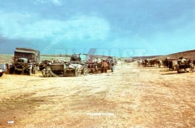 Captured Russian Soviet KV1 panzer tank surrounded by Wehrmacht horse troops. Stalingrad 1942.  297 Infantry Division