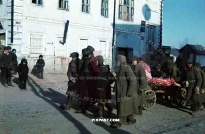 Captured Russian army prisoners pull meat wagon, Ochtyrka, Ukraine, Winter 1941, 94. Infantry Division,