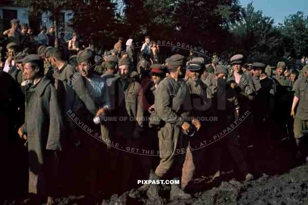 Captured Soviet Russian Soldiers POWs, Kiew Ukraine 1941.