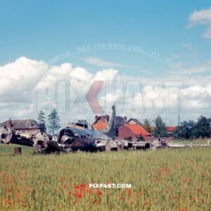 Crash landed American Boeing B-17G Flying Fortress in Dutch flower field. Holland 1944. Motors removed.