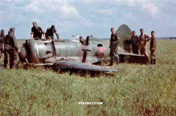Crashed Polikarpow I-16 near Riwne, Ukraine 1941