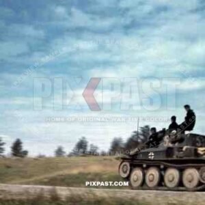 Czech Panzer Tank 38T, Number 531, 19th Panzer Division, Minsk, Russia, Summer 1941.