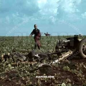 Dead Russian Soldier beside 45mm M.1932 Anti-tank Gun. Dubno. Battle of Brodny 1941. 9. Infantry Division