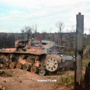 Destroyed Panzer Pz.Kpfw.III Ausf F. 3.Coy/I Abt/ Pz.Rgt 35. Stary Bychow on the Dniepr on 4/7/1941
