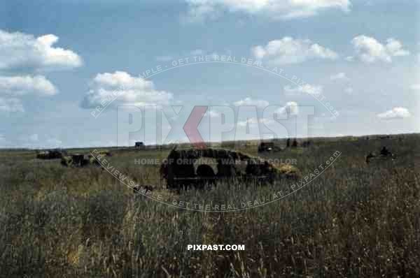Disguised vehicles near Riwne, Ukraine 1941