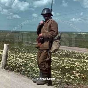 Don, Rostow, July 1942, Romanian infantry, 22nd Panzer Division, 1st Romanian Armoured Division.