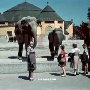 Elefantenhaus / Elephant House in Tierpark Hellabrunn Zoo. Munich. Germany 1940