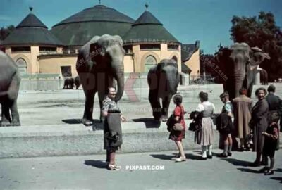Elefantenhaus / Elephant House in Tierpark Hellabrunn Zoo. Munich. Germany 1940