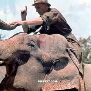 Elephant trainer with his elephant in Munich Zoo Hellabrunn 1940