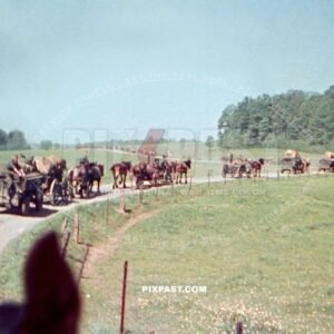 Food Gulasch Kanonen Column Horse Cavalry. July 1940 France. Doctor Schone Arztes 33. Infantry Division San.Kp. 126