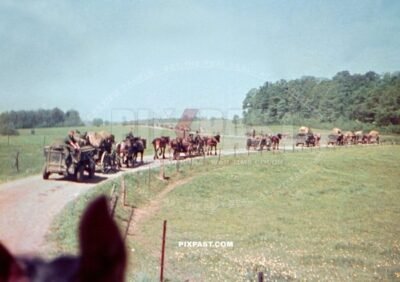 Food Gulasch Kanonen Column Horse Cavalry. July 1940 France. Doctor Schone Arztes 33. Infantry Division San.Kp. 126