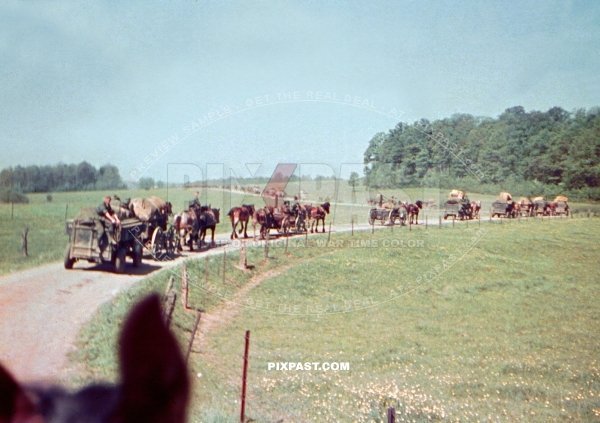 Food Gulasch Kanonen Column Horse Cavalry. July 1940 France.  Doctor Schone Arztes 33. Infantry Division San.Kp. 126