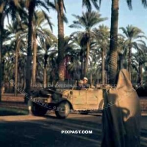 German Afrika Korp War Reporter sitting in his Army Jeep, Volkswagen kübelwagen 82, Karthago, Tunisia, 1942.