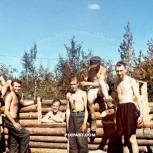 German Gebirgsjager soldiers of 7. Gebirgs Division building wooden bunkers in north Finland 1942