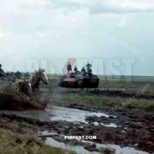 German Horse Wagon pushes through Mud Road, Panzer 3 Stug, September 1941. Poltava, Donez, Ukraine.