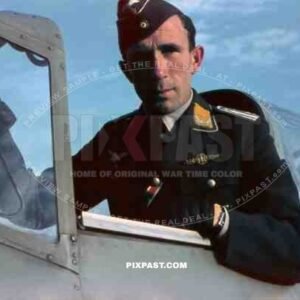 German Luftwaffe Pilot in Arado Ar 96 fighter plane with Long range day fighter clasp in gold award. Summer Germany 1942