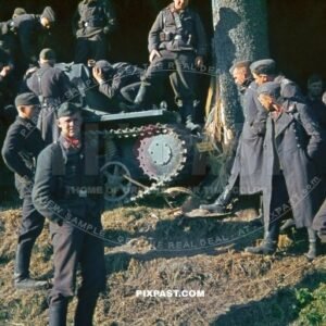 German Luftwaffe personnel inspect crashed German Panzer 1 tank against tree in Belgium 1940