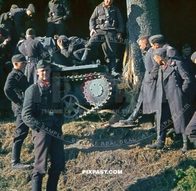 German Luftwaffe personnel inspect crashed German Panzer 1 tank against tree in Belgium 1940