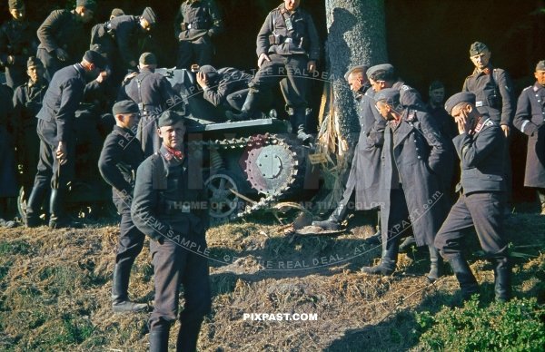German Luftwaffe personnel inspect crashed German Panzer 1 tank against tree in Belgium 1940