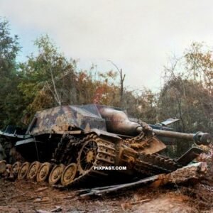 German Panzer StuG IV destroyed on Marigny-Montrevil road in Normandy 1944