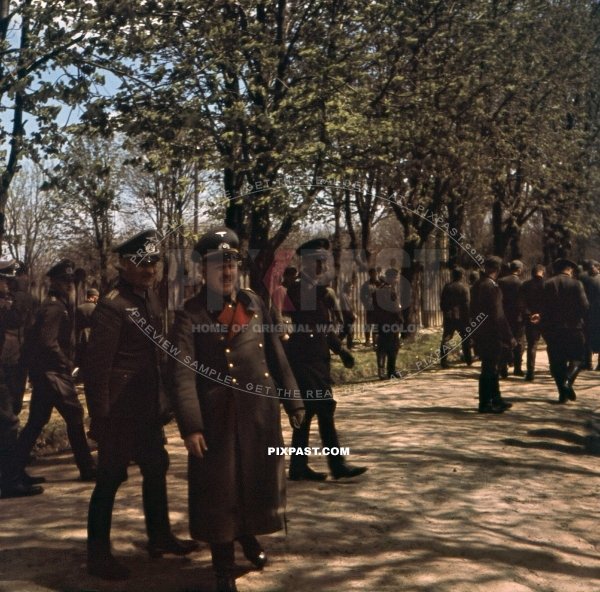 German Wehrmacht General Oskar Blumm. Commander of the 57th Infantry Division. Russia 1942