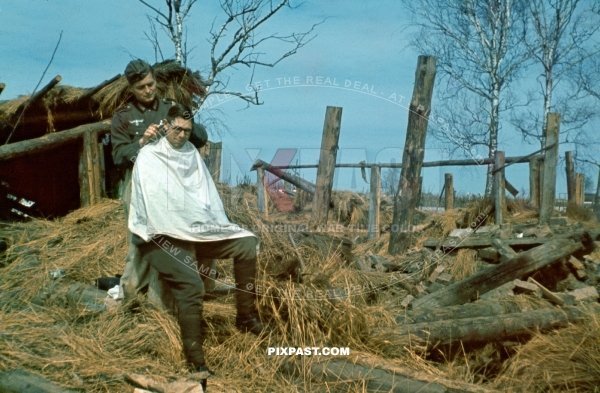 German army soldier getting his hair cut from field hard dressers. Beside destroyed farm house. Russia 1942