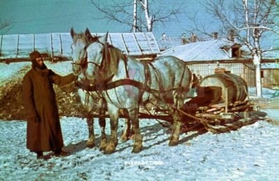 German army soldier in heavy winter uniform with medical red cross snow sled pulled by horses. medical supplies. Russia 1942