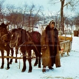German army soldier in heavy winter uniform with medical red cross snow sled pulled by horses. medical supplies. Russia 1942