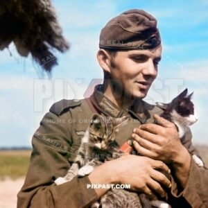 German army soldier with pet cats. red artillery piping cap and green Jager piping anti tank PAK unit. Russia 1942