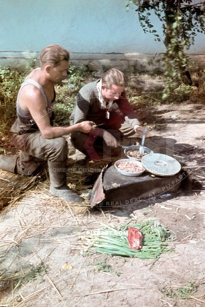 German army soldiers cooking vegetables and meat in the field. Russia 1942. 297 Infantry Division