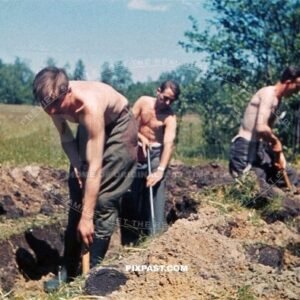 German army soldiers digging trenches near Kharkov Ukraine summer 1942. 177. Division Kraftfahr Ersatz Battalion