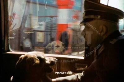 German army wehrmacht officer with pet dog in army bus passing french petrol Shell station in france 1940