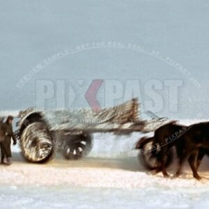German artillery sFH 18, 150 mm Howitzer in camouflage pulled by horse into Stalingrad Russia 1942. 297 Infantry Division