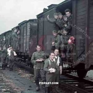 German infantry boarding train transport Russian front Operation Barbarossa Poland 1941 flowers