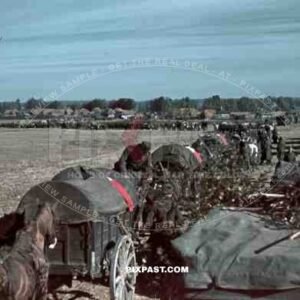 German medical ambulance horse cavalry unit red flags convoy Russian front invasion 1941 Operation Barbarossa.
