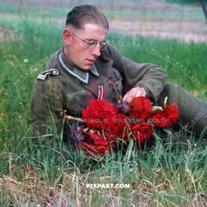 German soldier dreaming in field with handful of beautiful flowers. Russian front 1943. Iron cross Ribbon