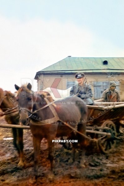 German soldier giving a lift to a captured Russia POW soldier in Panje horse wagon. 297 Infantry Division. Stalingrad Russia 1942