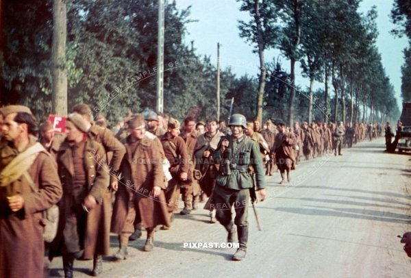 German soldier guarding French army soldiers to POW camp. France 1940. 33. Infantry Division