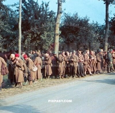 German soldier guarding French army soldiers to POW camp. France 1940. 33. Infantry Division