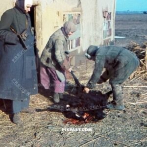 German soldier in Winter Mantel Jacket with camera and lamp watching Russian farmers preparing black sheep Russia 1943