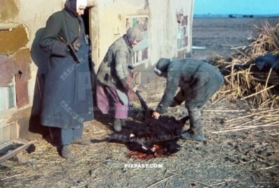 German soldier in Winter Mantel Jacket with camera and lamp watching Russian farmers preparing black sheep Russia 1943