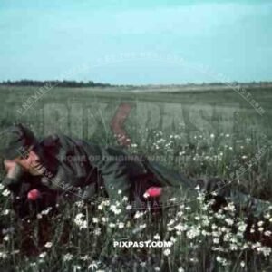 German soldier in flower field in Smolensk Russia 1942 summer. hitler moustache with glasses and hat.