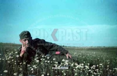 German soldier in flower field in Smolensk Russia 1942 summer. hitler moustache with glasses and hat.